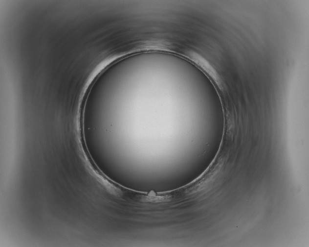 X0000111781339200907231115