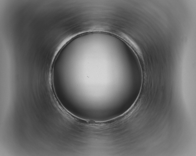 X0000111781340200907231115