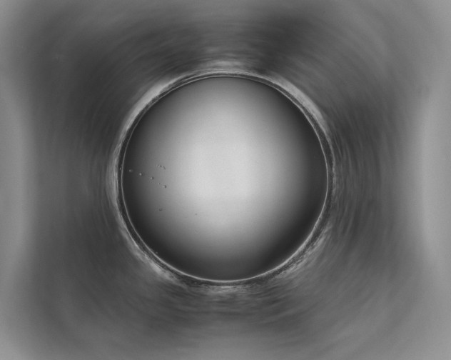 X0000111781341200907231115