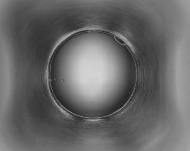 X0000111781343200907231115
