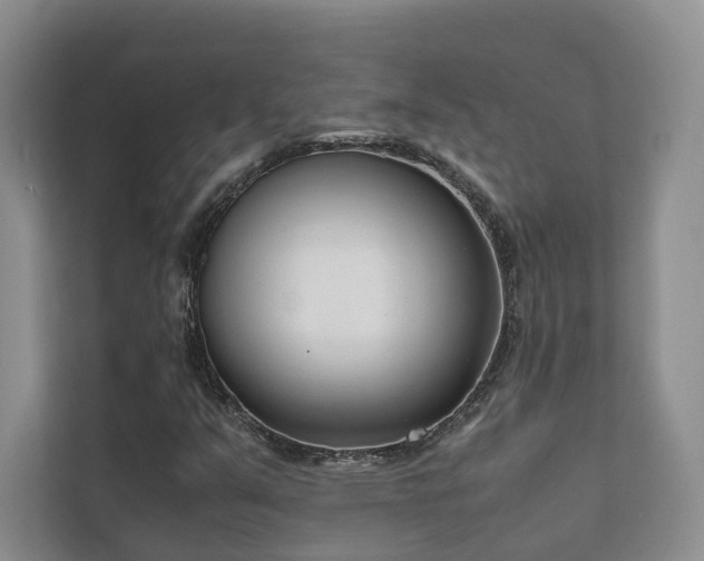 X0000111781351200907231114