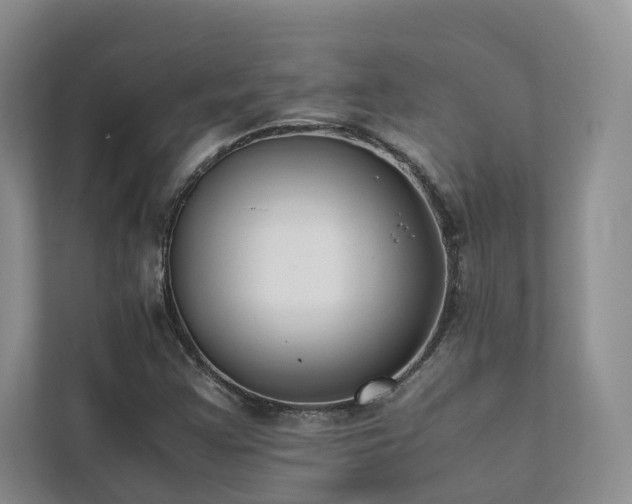 X0000111781355200907231114