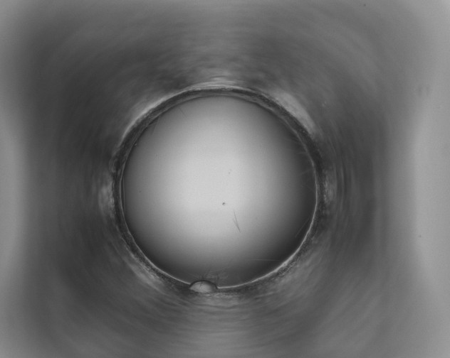 X0000111781356200907231114