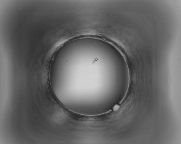 X0000111781359200907231114