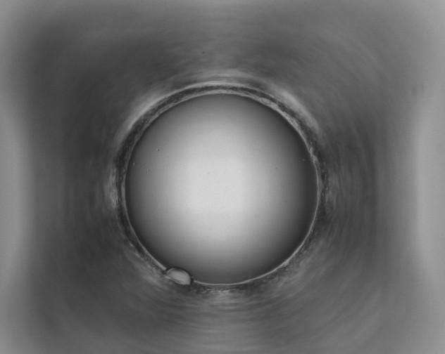 X0000111781360200907231114