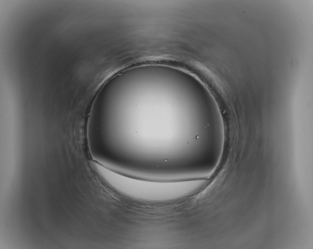 X0000111781361200907231114
