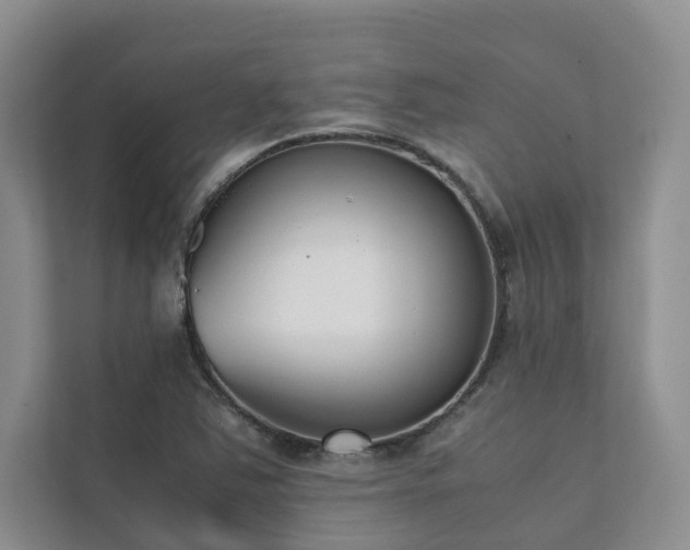 X0000111781363200907231114