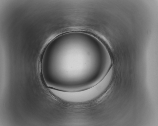 X0000111781365200907231114
