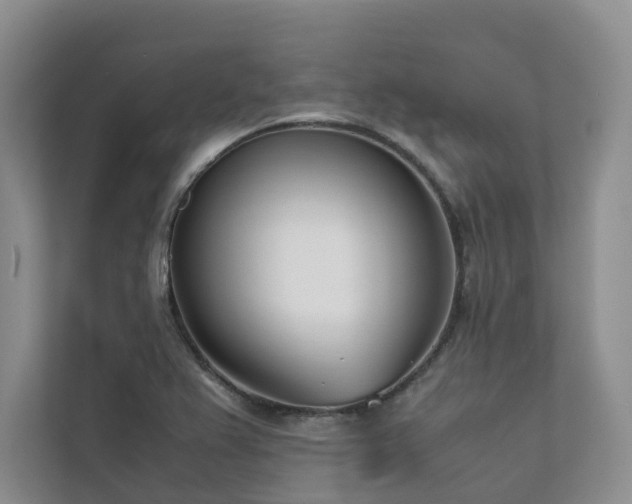 X0000111781367200907231114