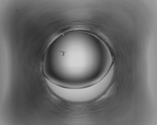 X0000111781369200907231114