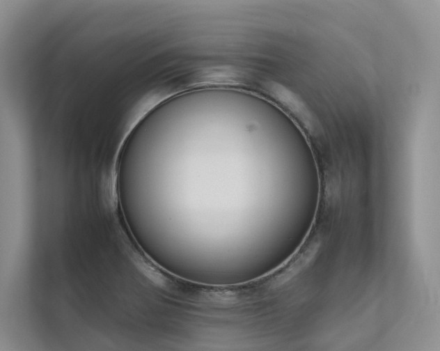 X0000111781370200907231114