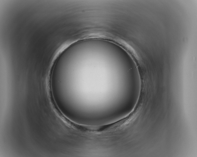 X0000111781373200907231114