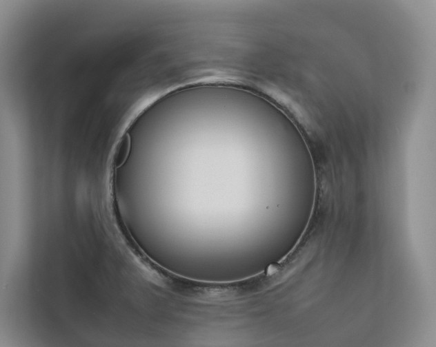 X0000111781375200907231114