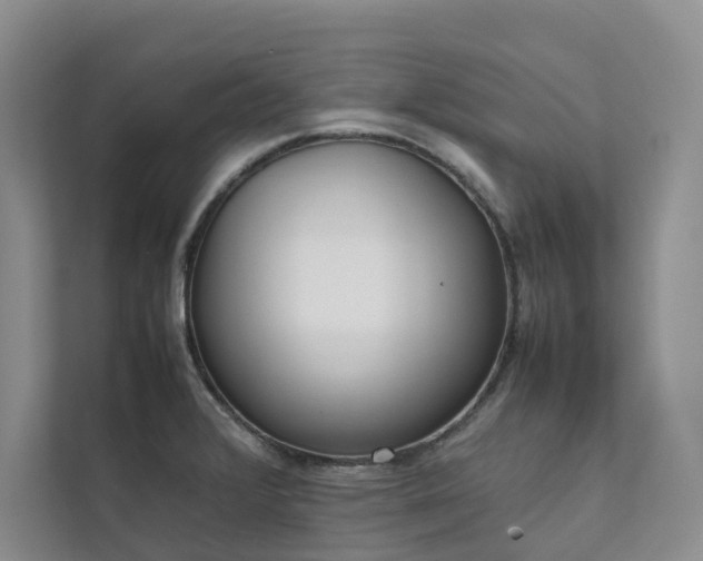 X0000111781376200907231114