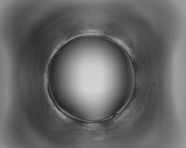 X0000111781383200907231114