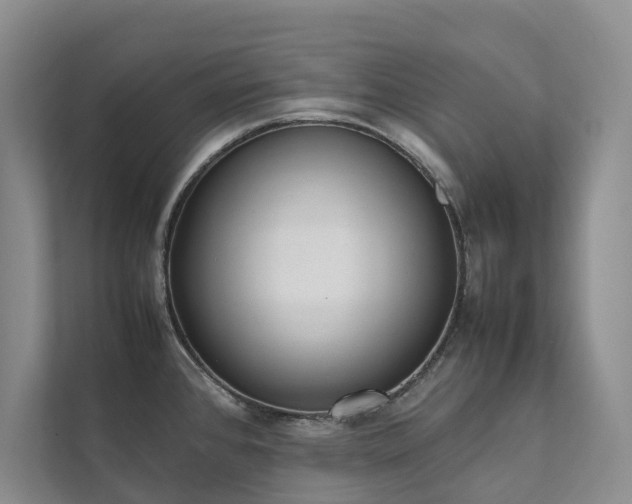 X0000111781384200907231114