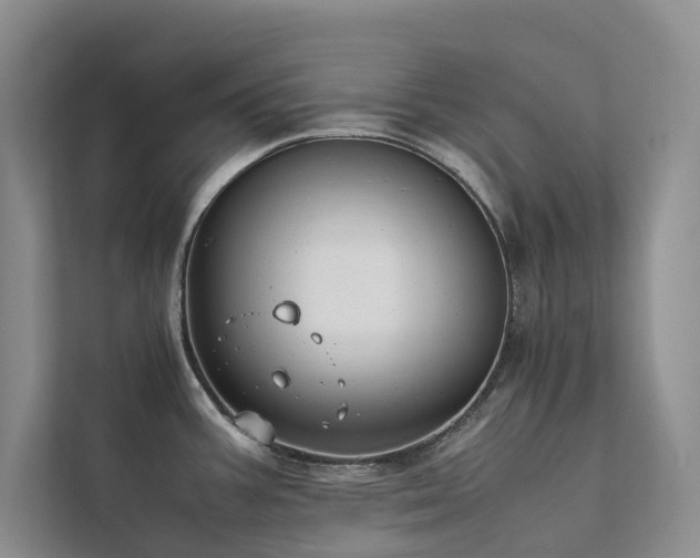 X0000111781387200907231114
