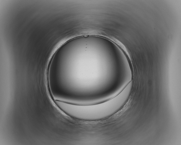 X0000111781389200907231114