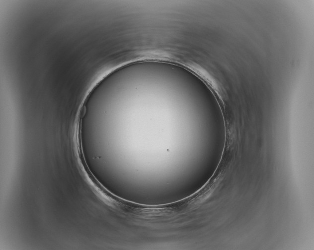 X0000111781391200907231114