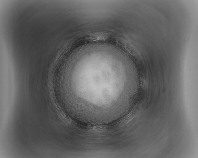 X0000111781393200907231113