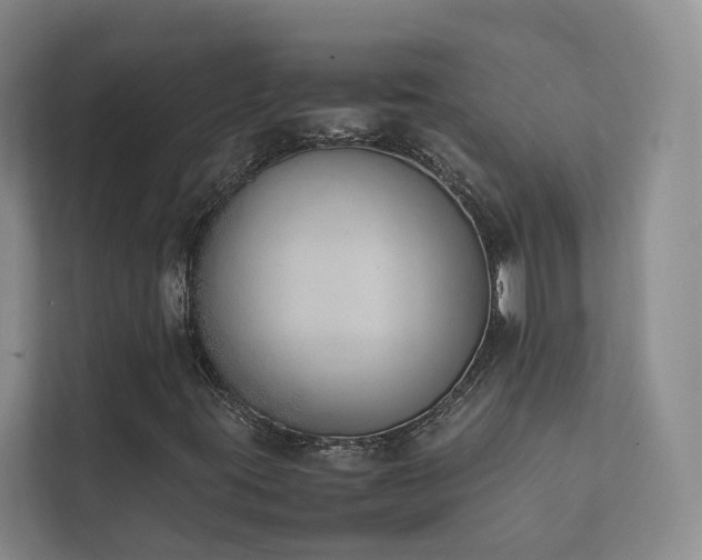 X0000111781395200907231113