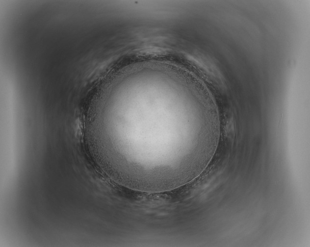 X0000111781397200907231113