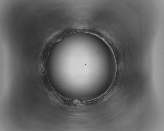 X0000111781398200907231113