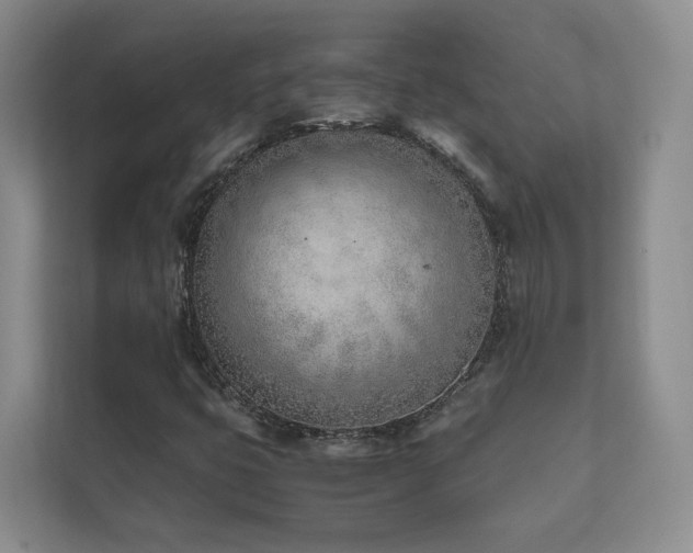 X0000111781399200907231113