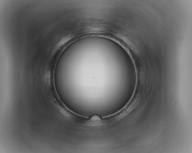 X0000111781402200907231113