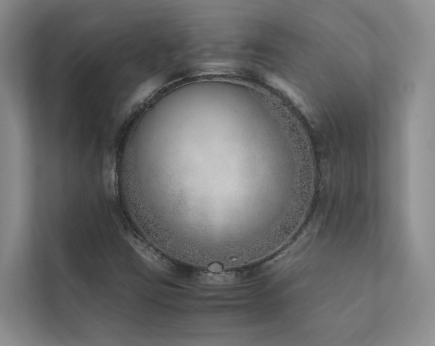 X0000111781403200907231113