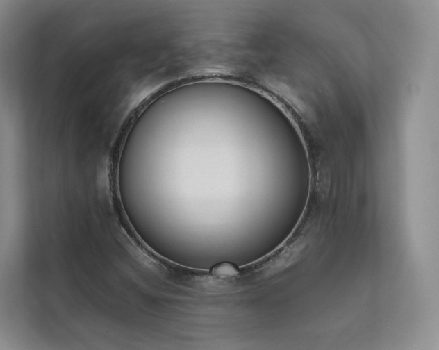 X0000111781404200907231113
