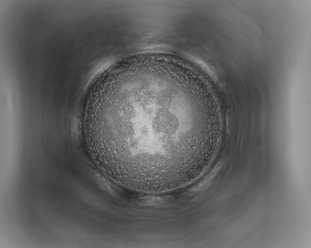 X0000111781405200907231113
