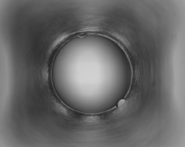 X0000111781406200907231113
