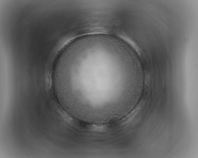 X0000111781407200907231113