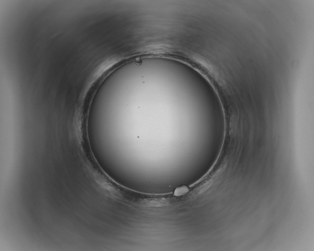 X0000111781410200907231113