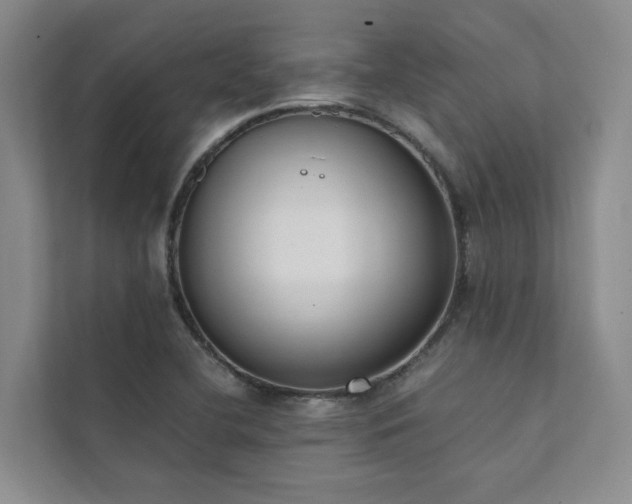 X0000111781412200907231113