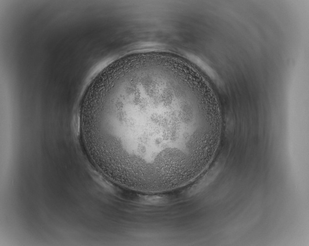 X0000111781413200907231113