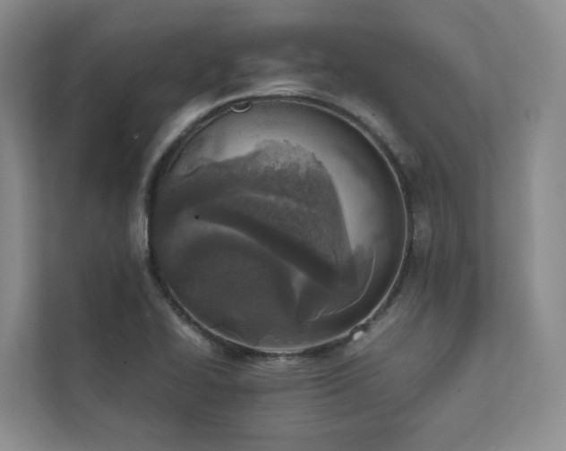 X0000111781414200907231113
