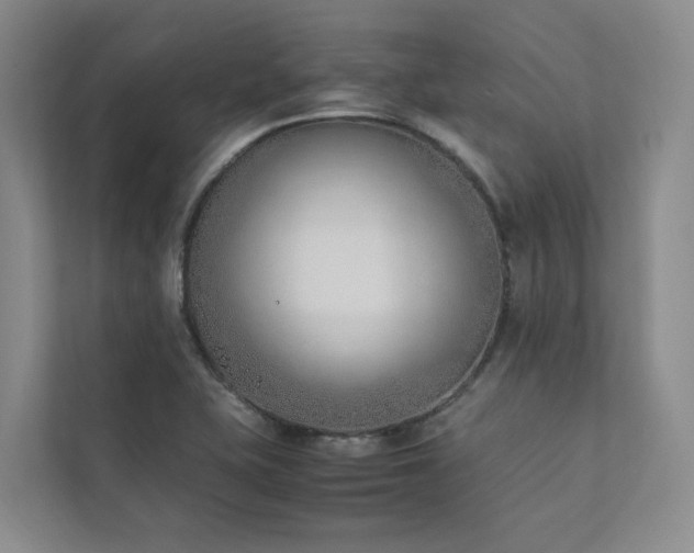 X0000111781415200907231113