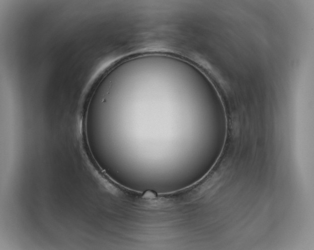 X0000111781416200907231113