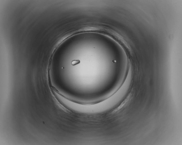 X0000111781417200907231113