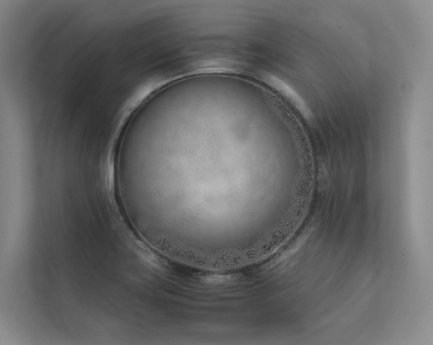 X0000111781419200907231113