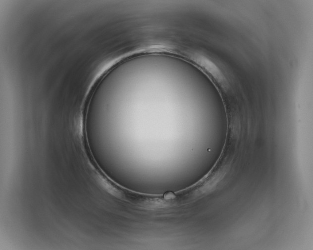 X0000111781420200907231113