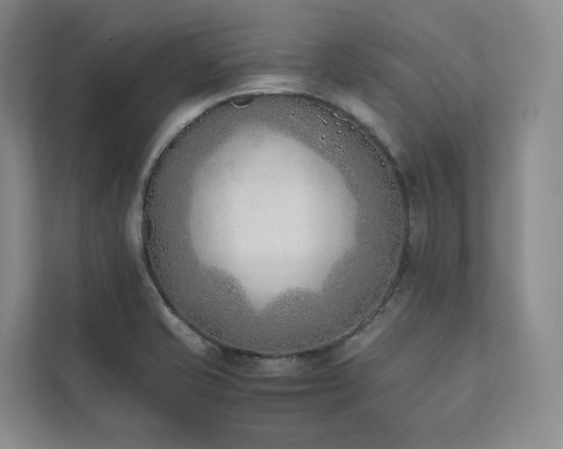 X0000111781421200907231113