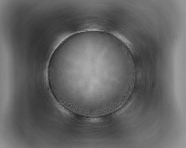 X0000111781423200907231113