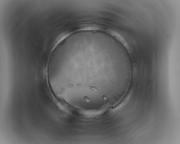 X0000111781425200907231113