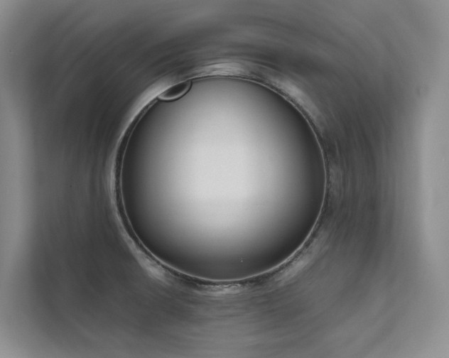 X0000111781426200907231113