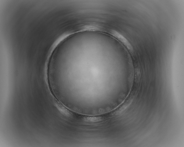 X0000111781427200907231114