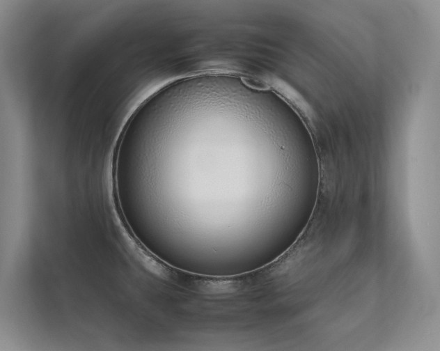 X0000111781431200907231114