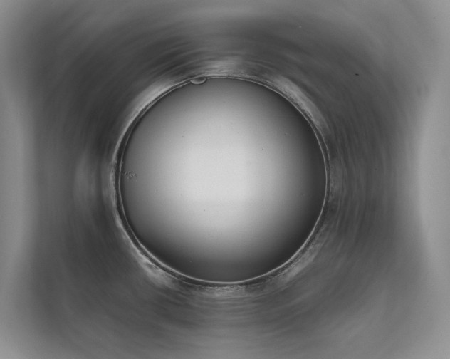 X0000111781434200907231114
